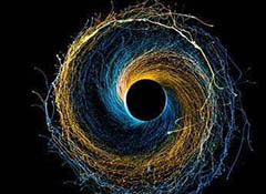 天文学家发现强磁场恒星挑战黑洞诞生理论