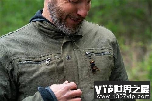 恐怖！老太踩到“杀人蜂”窝被追杀4天后死亡