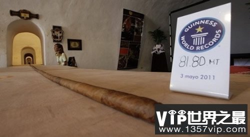 世界上最长的雪茄