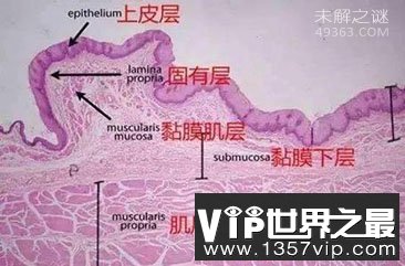 人体自救九大奇招