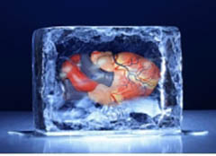 看看这些耐冻生物：人体冷冻起死回生技术不是梦
