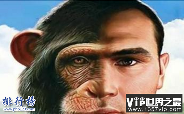 世界十大毛骨悚然的实验:第二个活体解剖大脑人神共愤