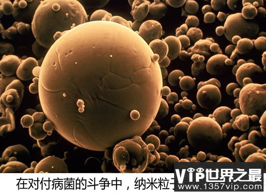 抗生素失效之后人类怎么办？