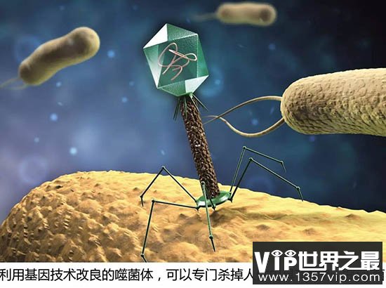抗生素失效之后人类怎么办？