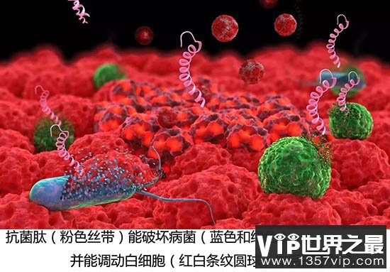抗生素失效之后人类怎么办？