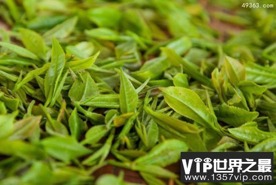 中国十大名茶最新排名,在古代把茶当作药喝