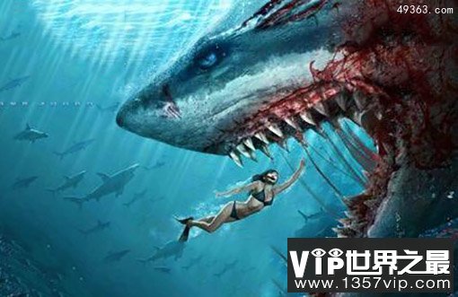 人鲨大战：鲨鱼用鱼钩重创钓鱼者