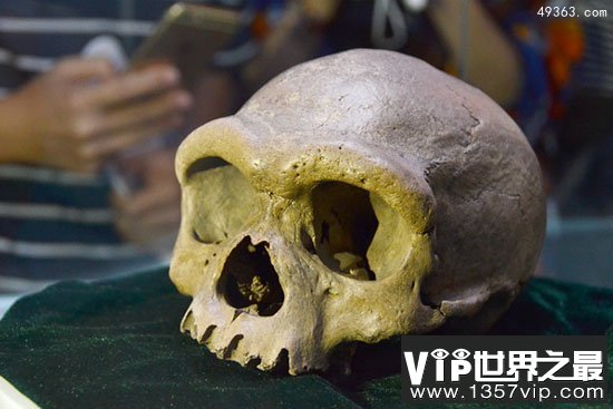 18万年前智人颅骨化石揭示人类祖先属同一物种