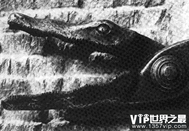 欧洲史上最残忍的酷刑排行榜