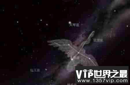 大到你怀疑人生的“星星”，宇宙最大十大星球