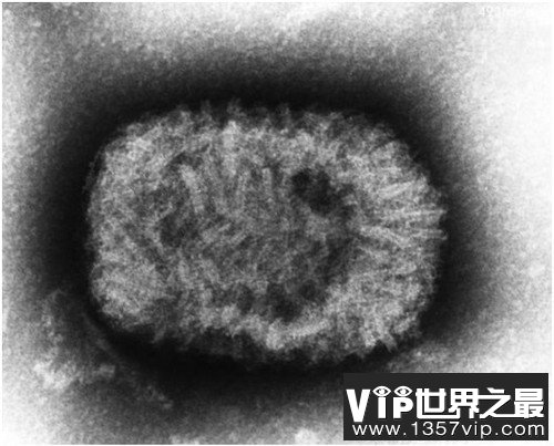 人类历史上12种最致命病毒,冠状病毒上榜