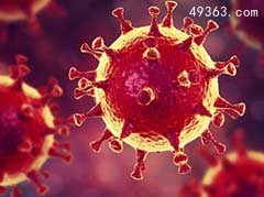 人类历史上12种最致命病毒，冠状病毒上榜