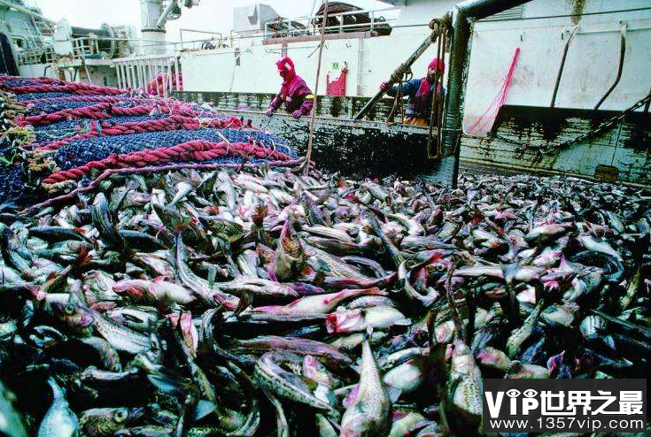 全球三大渔港排行榜 日本北海道位列第一，纽芬兰渔场排第二