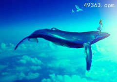 蓝鲸惨死漂浮海面可能被船撞死，蓝鲸要灭绝吗?