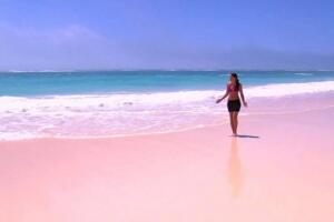 世界上最美的海滩排名,巴哈马粉红沙滩仿佛置身天堂