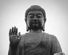 为何内地多拜菩萨而西藏供奉佛祖