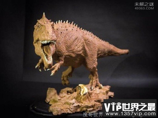 巨兽龙，最大的陆地肉食性恐龙
