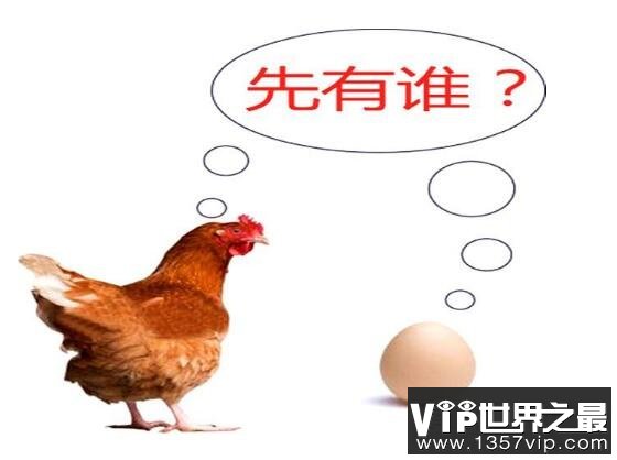 是先有鸡还是先有蛋正确答案公布，经过科学研究论证发现是先有鸡