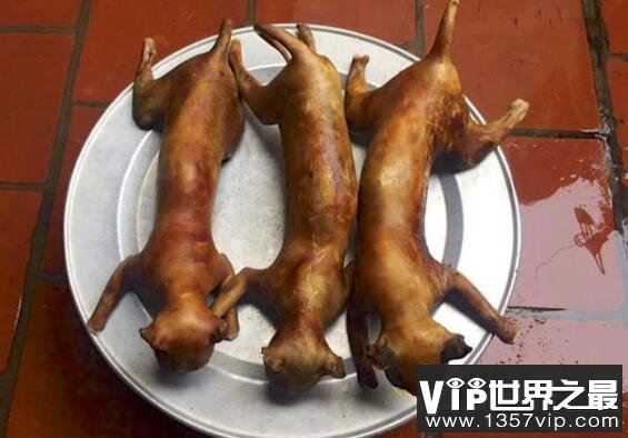 猫肉能吃吗，能吃但是最好不要吃(吃猫对人的身体有害)