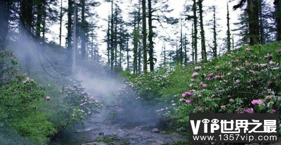 瓦屋山迷魂凼真相，进入后罗盘失灵/方向迷失(至今未解)