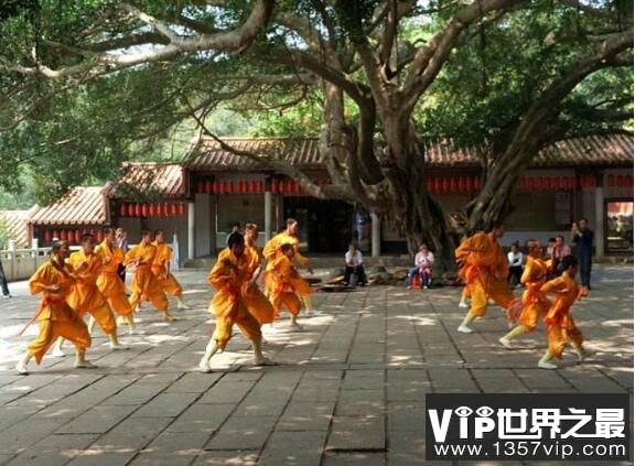 中国最大的少林寺是哪个，嵩山少林寺(中国5大少林寺排名)