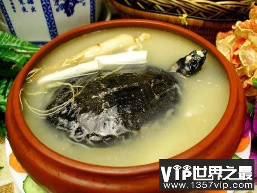 中国十大禁菜，浇驴肉残忍程度排名第一(活吃猴脑也在列)