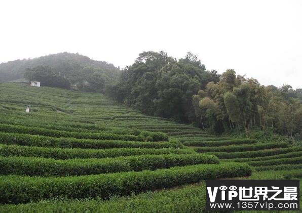 新西湖十景是哪十处，每一处都拥有深厚的文化内涵