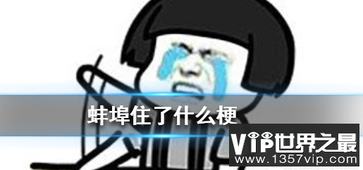 蚌埠住了什么梗出自哪里,蚌埠住了是哪里的方言