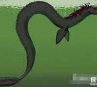 世界上真实存在的水怪：卡布罗龙，马头蛇尾的大海怪(有目击者)