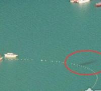 新疆喀纳斯湖水怪目击事件，真相竟是长达10米的巨型哲罗鲑