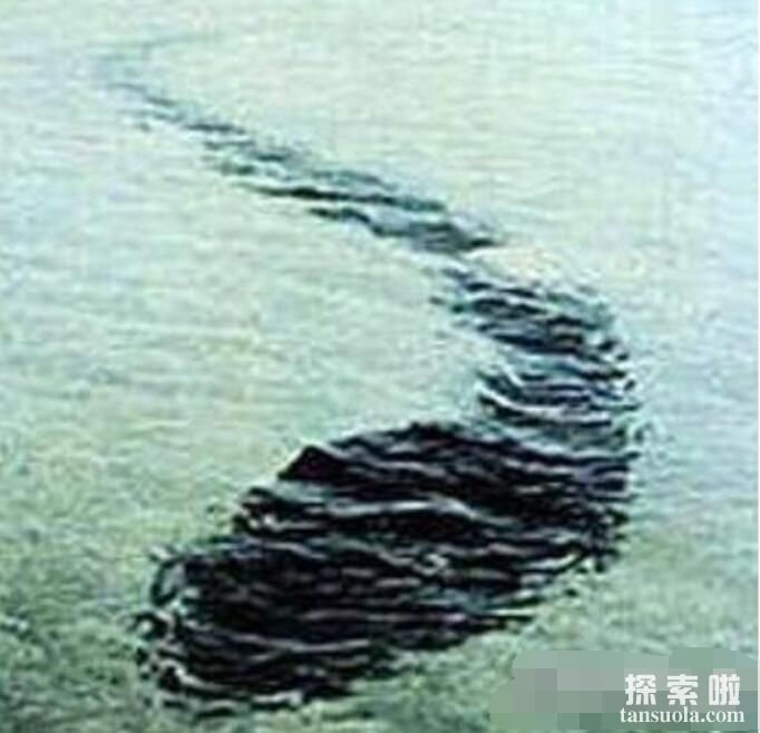 世界上最大的水怪：铜山湖水怪，体长150米的水怪魔影