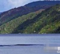 世界上最大的水怪：铜山湖水怪，体长150米的水怪魔影
