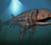 利兹鱼和巨齿鲨谁大，史上最大鱼类利兹鱼揭秘(长27米)