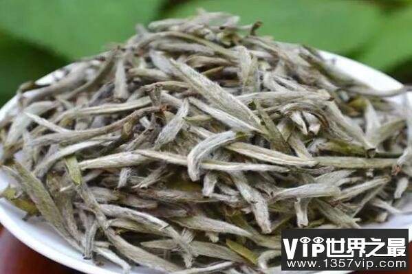 中国白茶知名品种（www.5300tv.com）