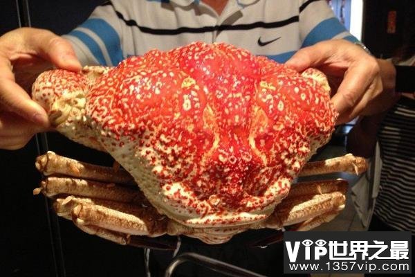 世界上最重的蟹
