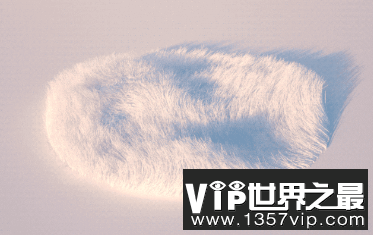 阴毛刮还是不刮？对性生活有什么影响吗