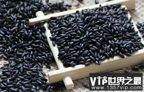 男性补肾适合吃什么食物