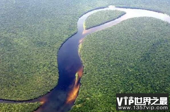 世界上最美的十大热带雨林