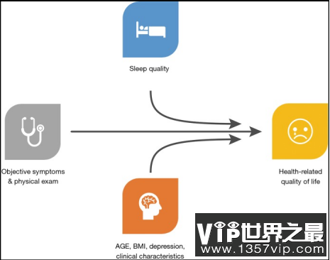 引起勃起功能障碍（ED）的主要原因