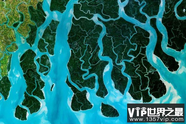 世界上最大的三角洲：恒河三角洲面积达6.5万平方公里