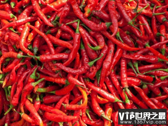 中国最大的青椒产地在哪？盘点国内十大青椒产地