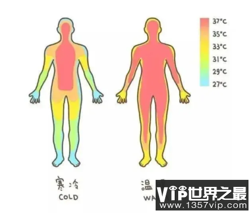 为啥女生的洗澡水比男生热