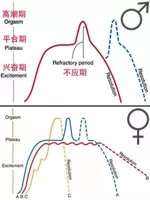 爱爱的平台期比较长