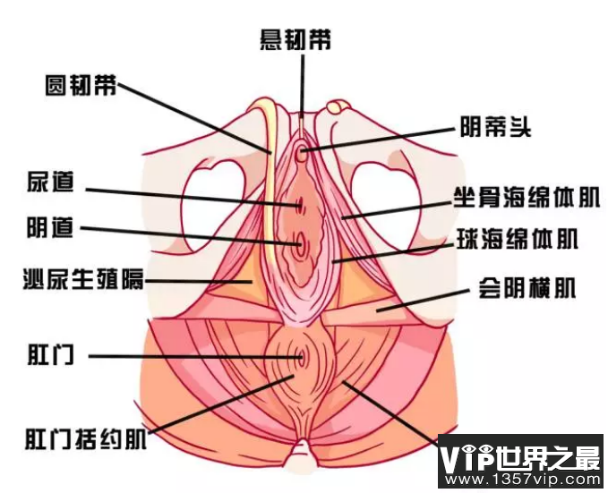 下面松弛，亲密时没感觉怎么办