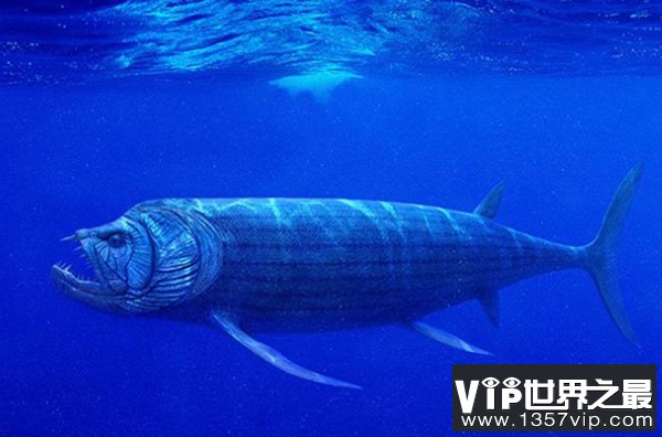 世界十大恐怖海怪——西番提尼鱼