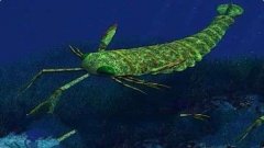 奥陶纪十大恐怖生物，有几种还活在海洋中