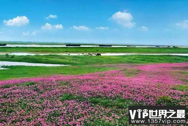 鄱阳湖