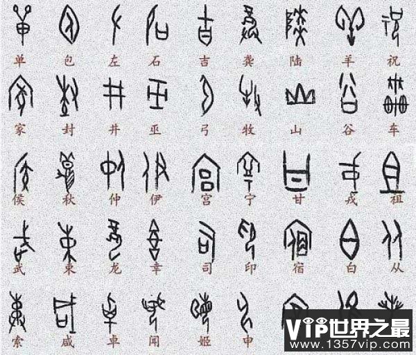 中国最早的文字：甲骨文
