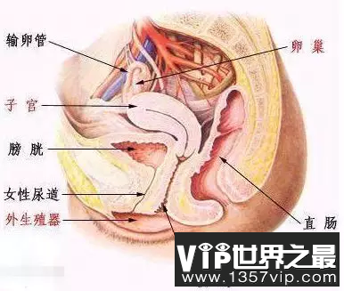 我们先来科学的认识一下