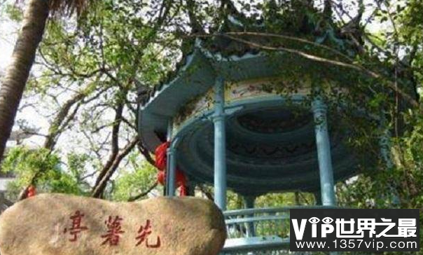 一对父子从菲律宾带回来的植物 居然救了上亿人（朱薯藤）